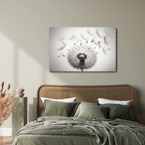 Quadro su tela – Soffione bianco e nero
