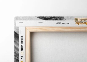 Stampa su tela – Acchiappasogni indiano in bianco e nero