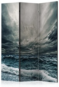 Paravento  Ocean waves [Room Dividers]  Colore ---, Dimensioni e Misure 135x172