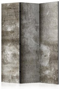 Paravento Cold Concrete [Room Dividers]