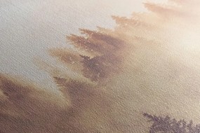 Stampa su tela – Nebbia sopra la foresta