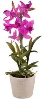 Orchidea Artificiali con Vaso Altezza 43 cm Rosa