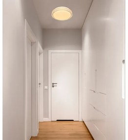 Globo 41749-22 - Plafoniera LED OVI LED/22W/230V