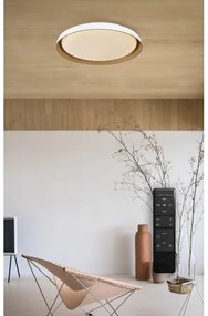 Top Light-Plafoniera LED dimmerabile SATELLITE LED/48W/230V 3000-6500K bianco + +TC