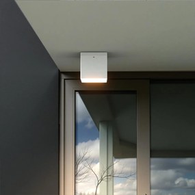 Applique da soffitto Quadrata GU10 IP54 in Alluminio e Vetro