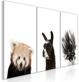 Quadro Friendly Animals (Collection)