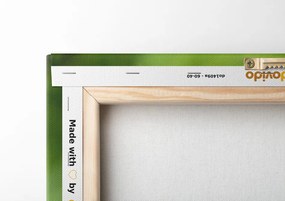 Quadro su tela – Armonia Feng Shui