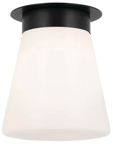 Kichler KL-ALBERS-F-T-BK - Plafoniera ALBERS 1x E27/40W/230V Ø 21,6 cm, nero