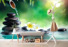 Carta da parati – Armonia nel giardino Zen