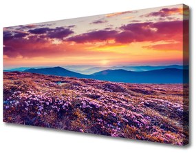 Quadro su tela Prato, montagna, fiori, natura 100x50 cm