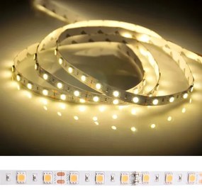 Striscia LED 5m 45W/12V IP20 3000K