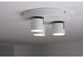 Philips 56243/31/16 - Luce Spot a LED dimmerabile STAR 3xLED/4W/230V