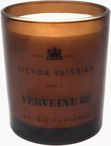 Candela profumata Verveine (Verbena acidula, erbe fresche)