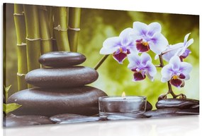 Stampa su tela – Natura morta spa