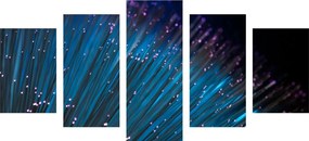 Quadri 5 pezzi – Fibra ottica