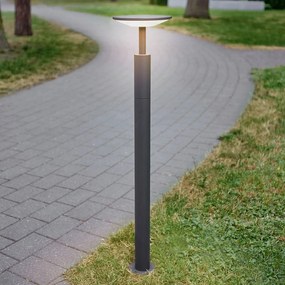Lampioncino da giardino Fenia Lucande, Nero, Alluminio, Moderno, Lampada LED da esterni