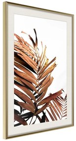 Poster  Copper Palm  Cornice Quadri Cornice d'oro con passe-partout, Larghezza x Altezza Home decor 40x60