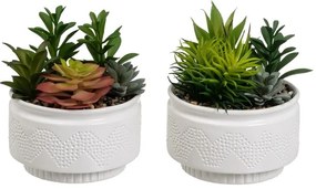 Piante artificiali in set da 2 (altezza 19 cm) Cactus - Casa Selección