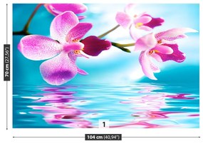 Carta da parati Acqua di Orchida 104x70 cm