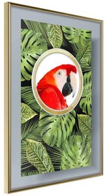 Poster  Parrot Says Hi  Cornice Quadri Cornice d'oro, Larghezza x Altezza Home decor 20x30