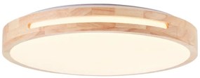 Brilliant - Plafoniera LED dimmerabile WOODBURY LED/24W/230V diametro 39 cm