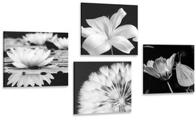 Set di quadri – Fiori con farfalla in bianco e nero