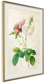 Poster  Romance I  Cornice Quadri Cornice d'oro con passe-partout, Larghezza x Altezza Home decor 20x30