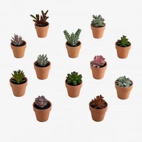 Pack da 12 mini cactus artificiali Amery Multicolore Classic - Sklum