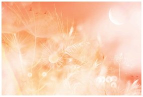 Carta da parati – Soffione al sorgere del sole Peach Fuzz