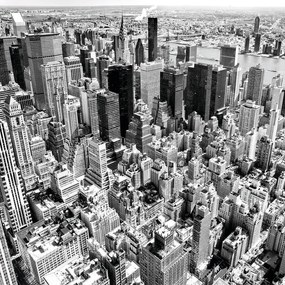 Stampa su tela New York dall'alto b&w, multicolore 98 x 98 cm