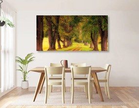 Quadro su tela – Sentiero nella foresta autunnale