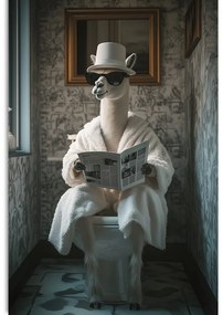 Stampa su tela – Alpaca con giornali in bagno