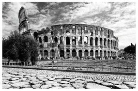 Stampa su tela Colosseo, multicolore 115 x 75 cm