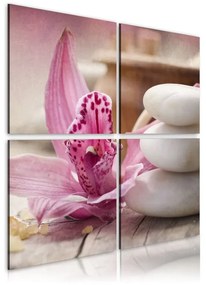 Quadro Orchidea e zen  Colore Rosa, Dimensioni e Misure 40x40