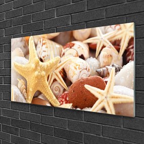 Quadro vetro Conchiglie di stelle marine sulla spiaggia 100x50 cm