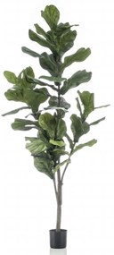 Pianta Di Ficus Lyrata Artificiale 160 Cm /