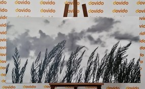 Quadro su tela – Erba in bianco e nero