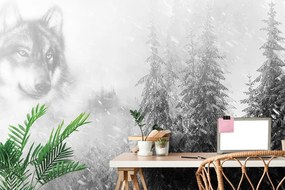 Carta da parati – Lupo in bianco e nero in un paesaggio innevato