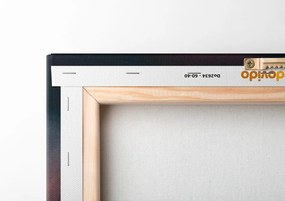 Quadro su tela – Gangster animale pinguino