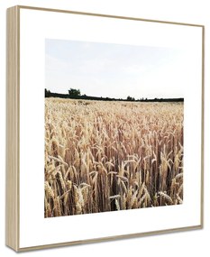Quadri in set di 4 pezzi 30x30 cm Aesthetic - knor