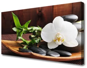 Quadro su tela Orchidea bianca di bambù Zen 100x50 cm