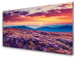 Quadro acrilico Prato, montagna, fiori, natura 100x50 cm