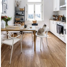 Set di 2 sedie da pranzo bianche Chaur Dali - Bonami Selection