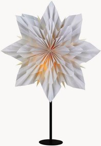 Stella luminosa di Natale Neela