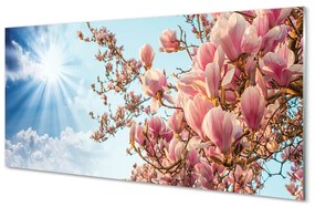 Rivestimento parete cucina Cielo di magnolia con il sole 100x50 cm