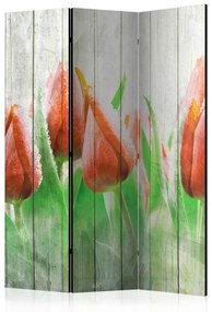 Paravento Tulipani Rossi su Legno - fiori su una recinzione di legno bianco