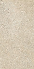 Cotto D'Este Secret Stone 14mm Pavimento Rivestimento 30x60 Cm Effetto Pietra Grip Rettificato Precious Beige