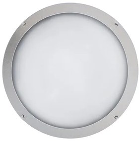 Loop Led Ø39.5Cm Diffusore In Vetro Satinato  21.6W 3000°K