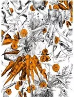 Edmond Petit Carta da parati Feu d'Artifice Lègumes - Feu d'Artifice Lègumes - Carotte
