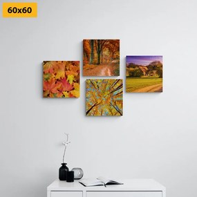 Set di quadri – Natura in colori autunnali